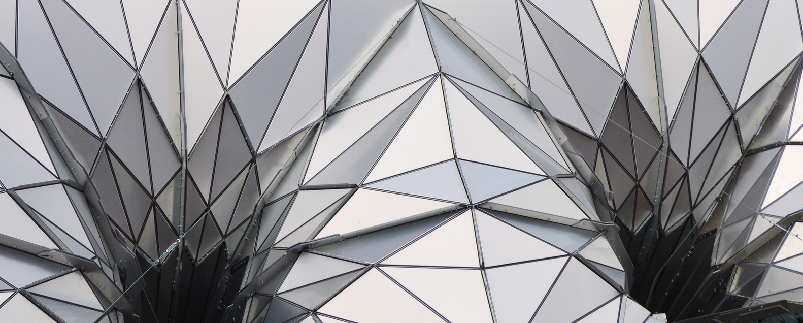 Canopy Geometry